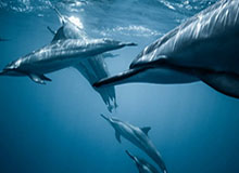 乐鱼体育下载-以色列宣布计划3月8日重新开放领空 允许出境航班通行